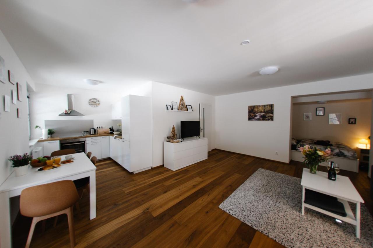 Apartman S Nadhernym Vyhledem V Centru Harrachova エクステリア 写真