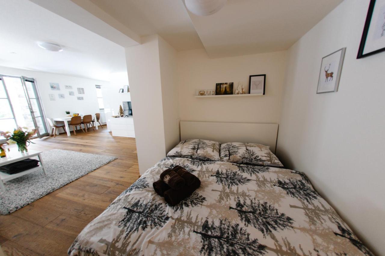 Apartman S Nadhernym Vyhledem V Centru Harrachova エクステリア 写真