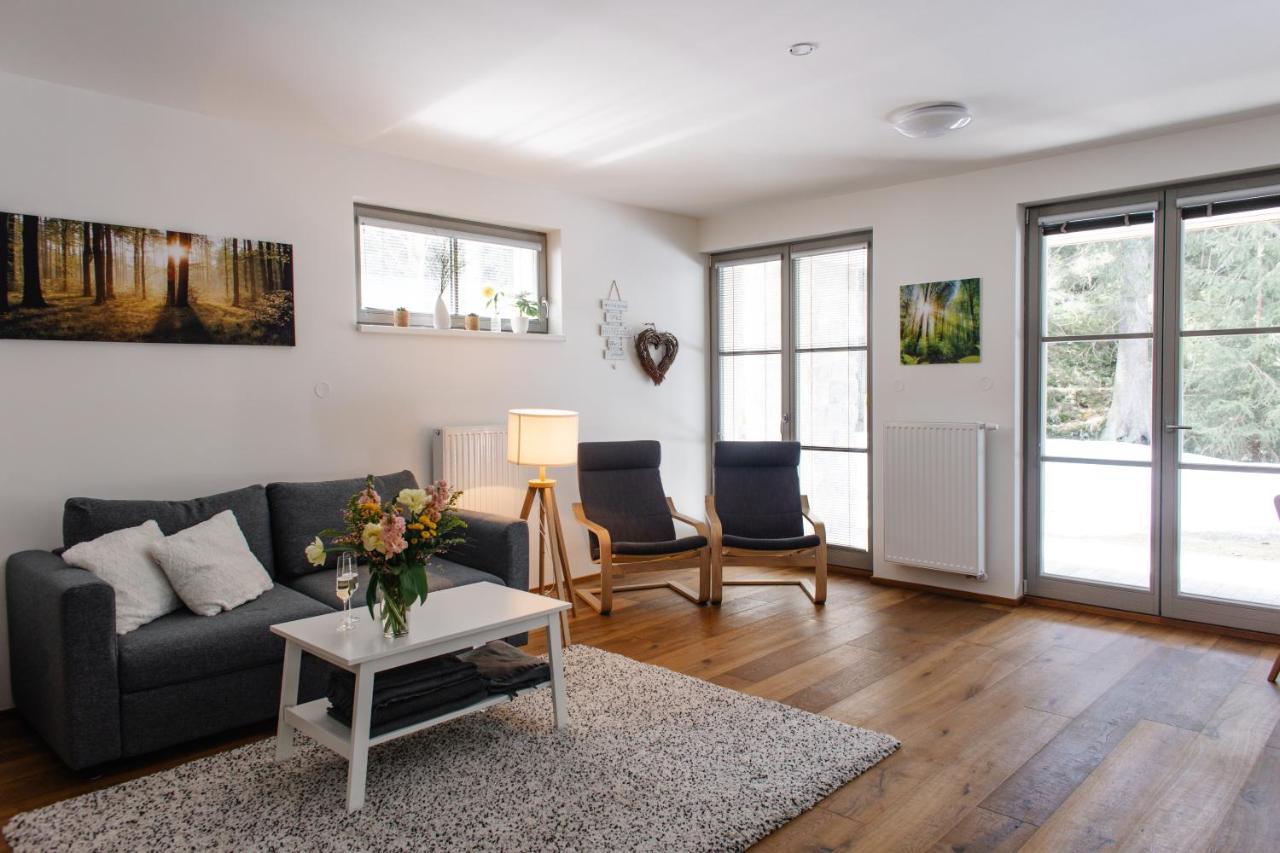 Apartman S Nadhernym Vyhledem V Centru Harrachova エクステリア 写真